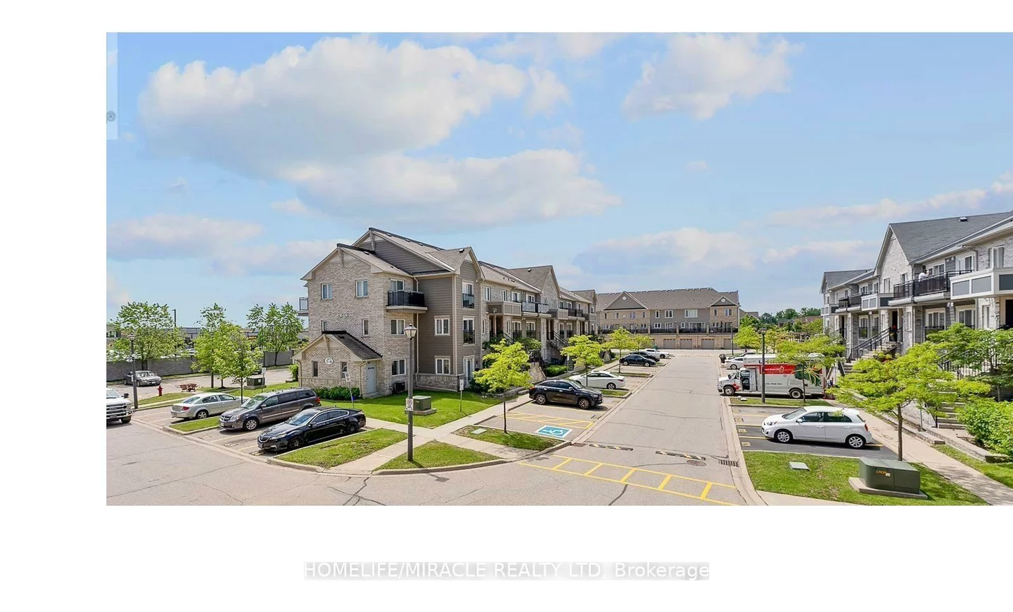 60, Fairwood, Sandringham-Wellington, Brampton