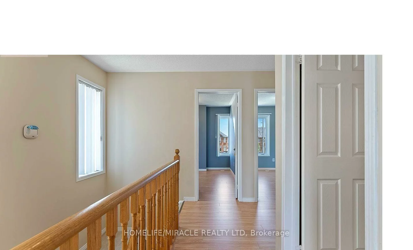 60, Fairwood, Sandringham-Wellington, Brampton