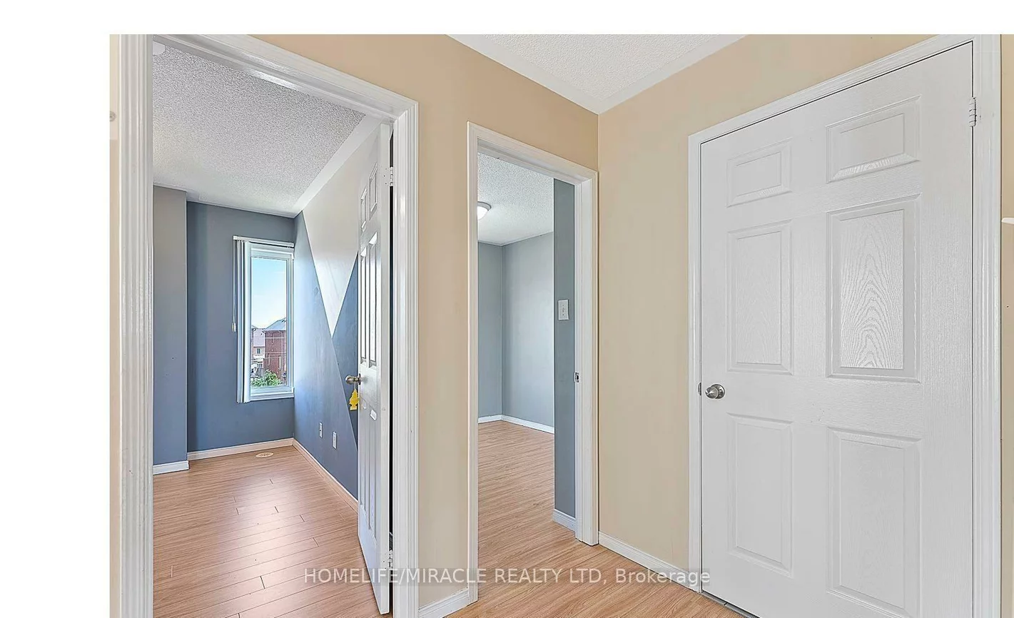 60, Fairwood, Sandringham-Wellington, Brampton