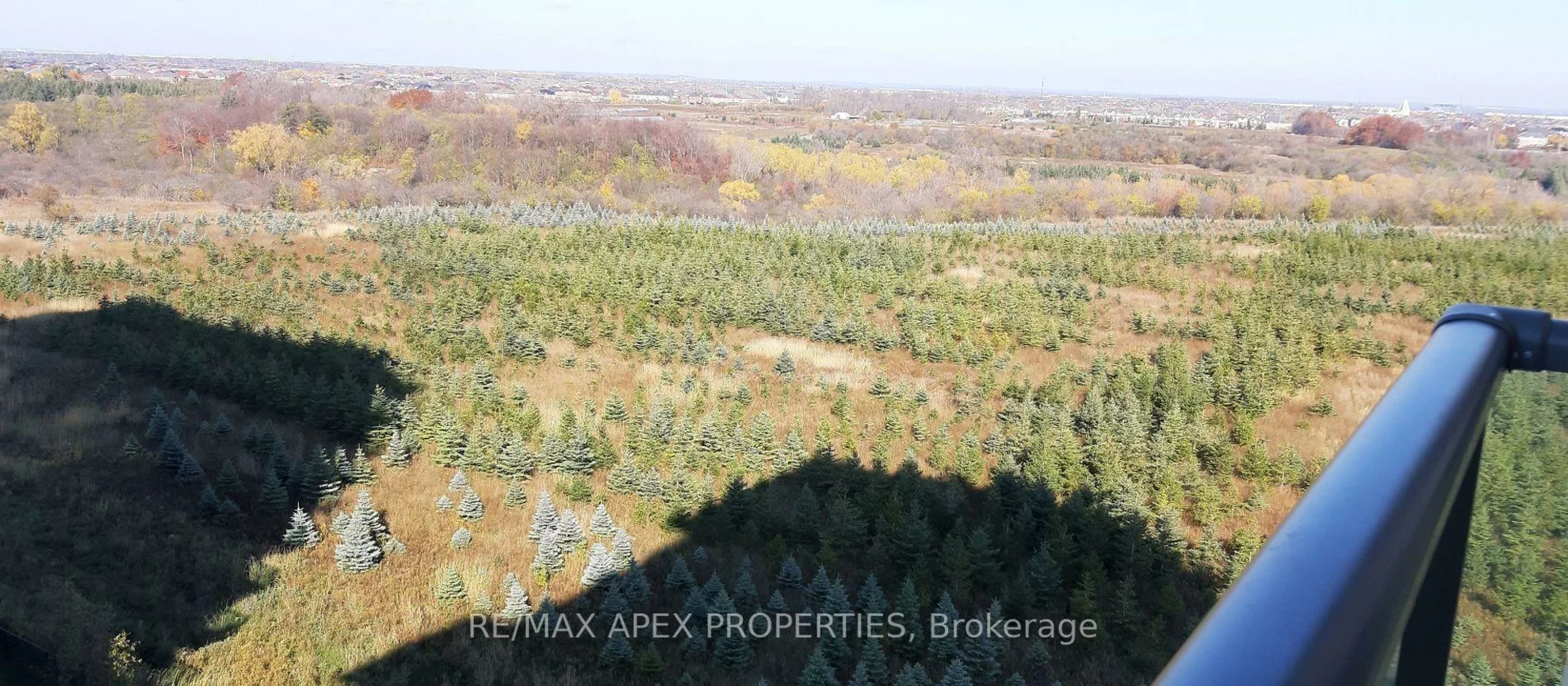 65, Yorkland, Goreway Drive Corridor, Brampton