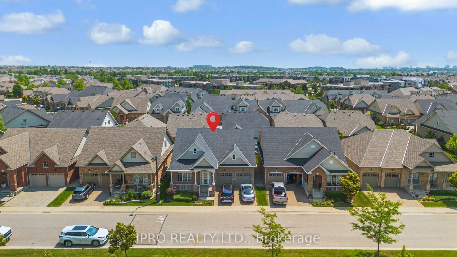 27, jazzberry, Sandringham-Wellington, Brampton