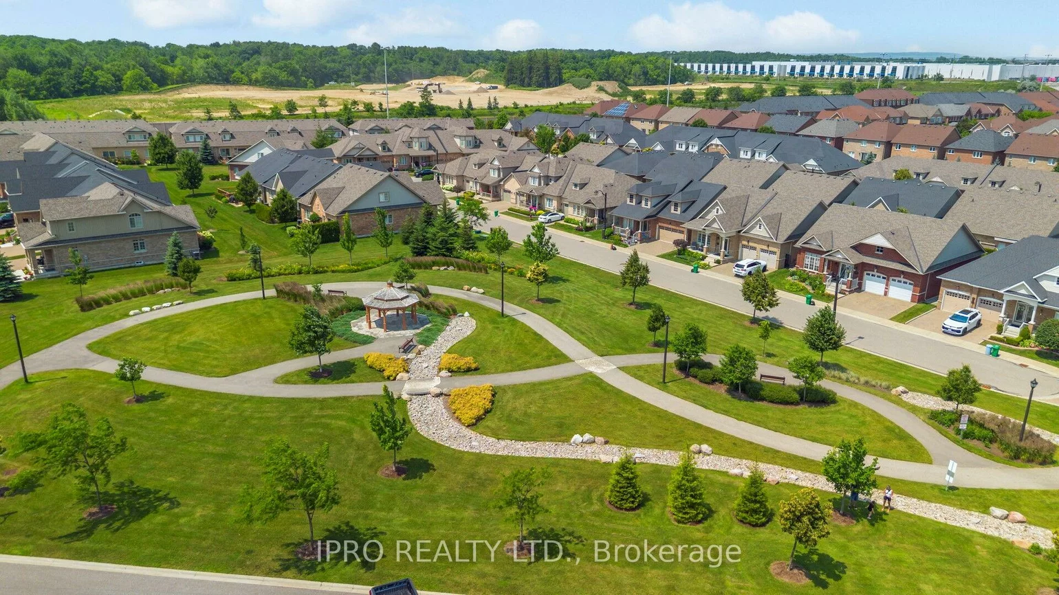27, jazzberry, Sandringham-Wellington, Brampton