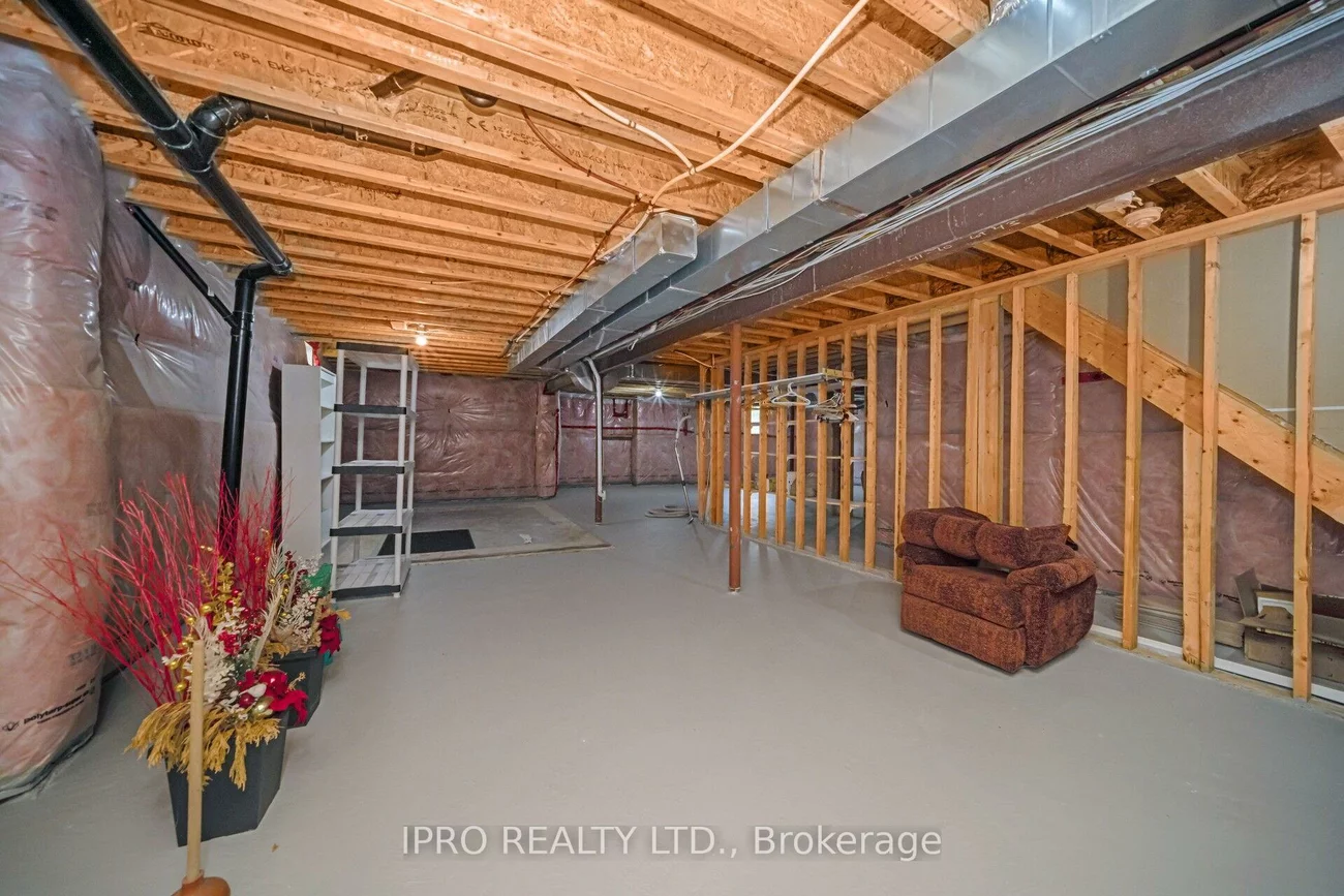 27, jazzberry, Sandringham-Wellington, Brampton