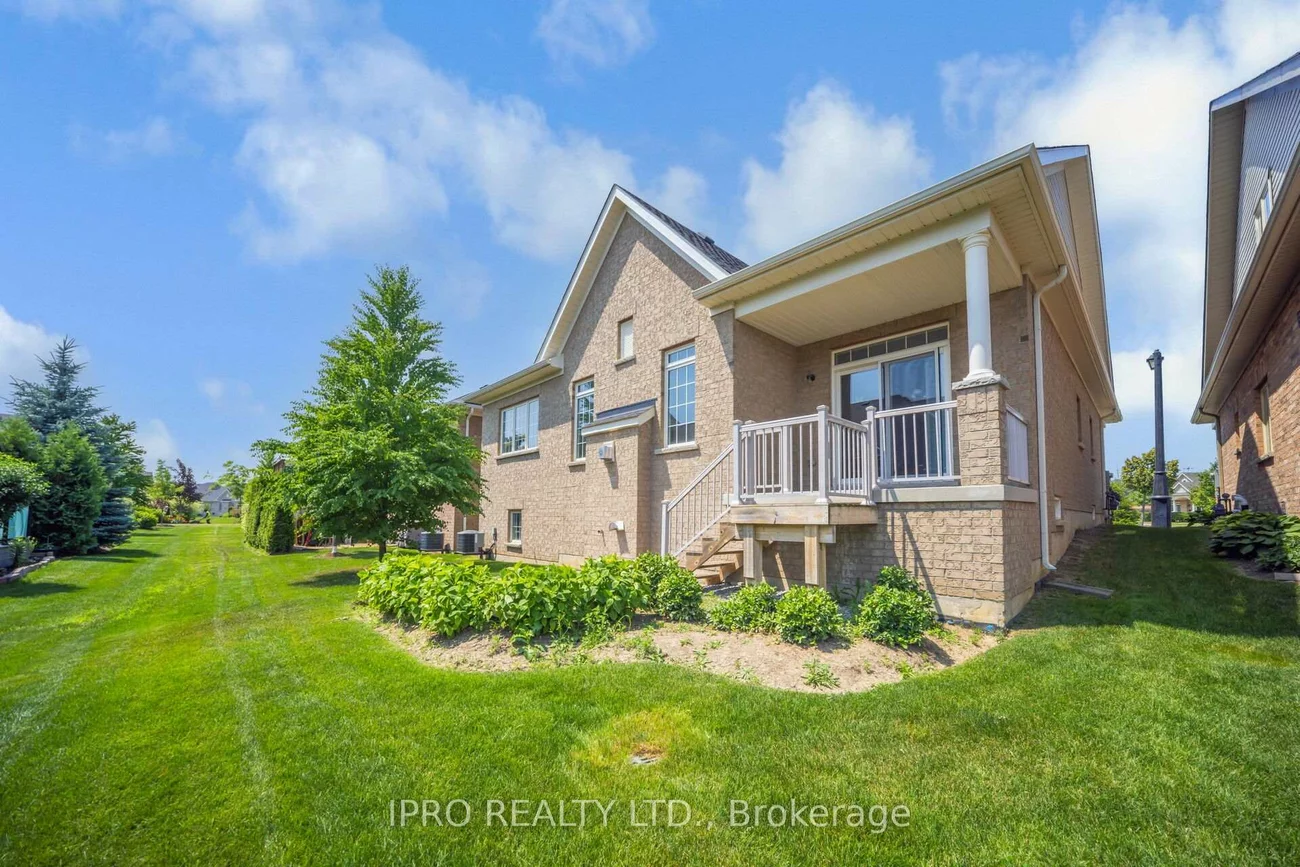 27, jazzberry, Sandringham-Wellington, Brampton