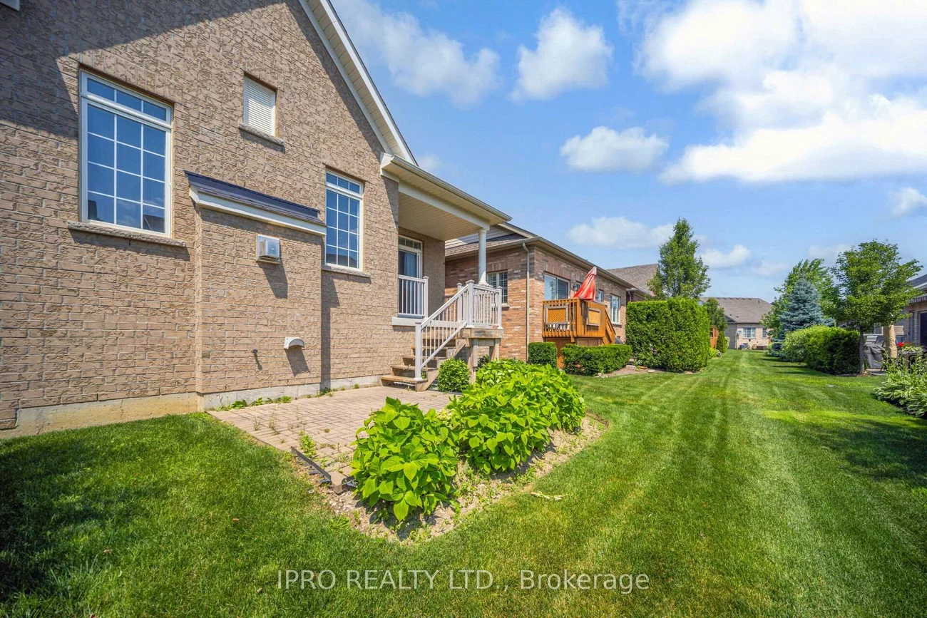 27, jazzberry, Sandringham-Wellington, Brampton