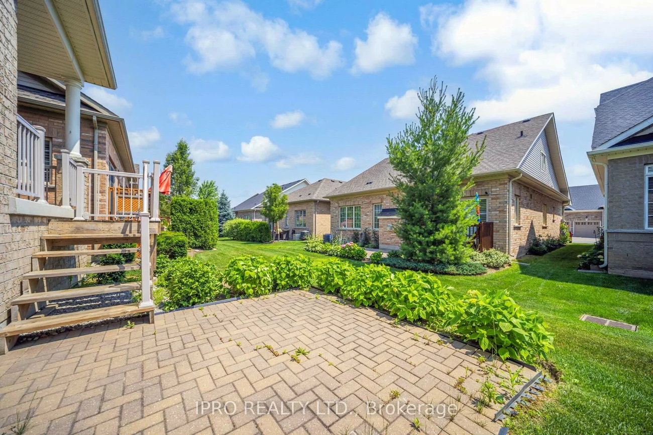 27, jazzberry, Sandringham-Wellington, Brampton
