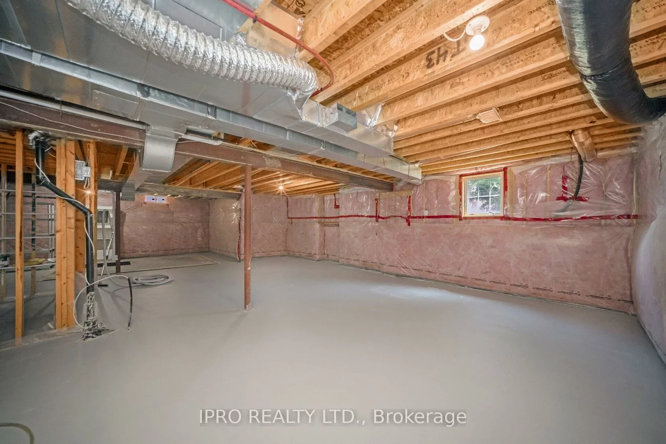 27, jazzberry, Sandringham-Wellington, Brampton