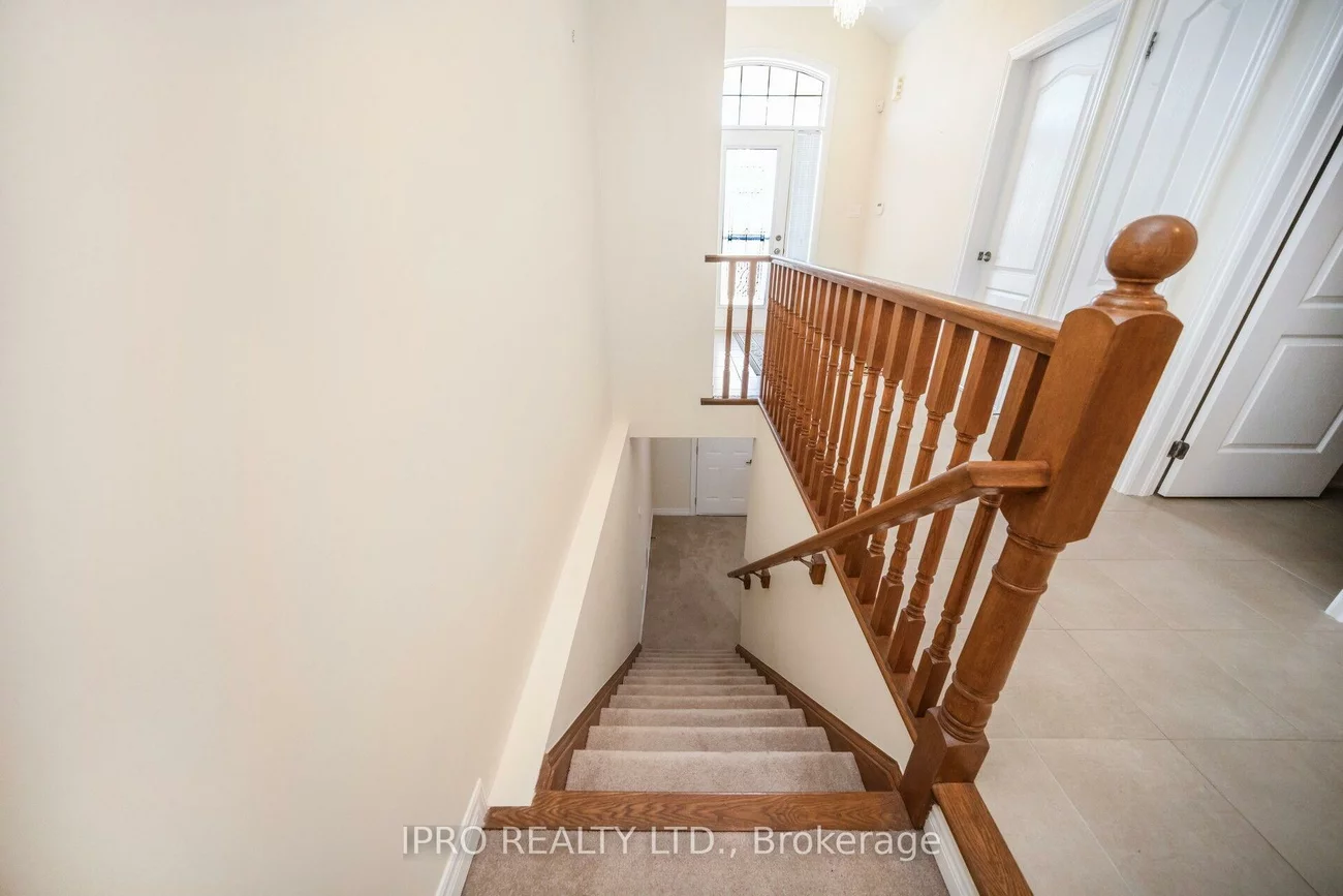 27, jazzberry, Sandringham-Wellington, Brampton
