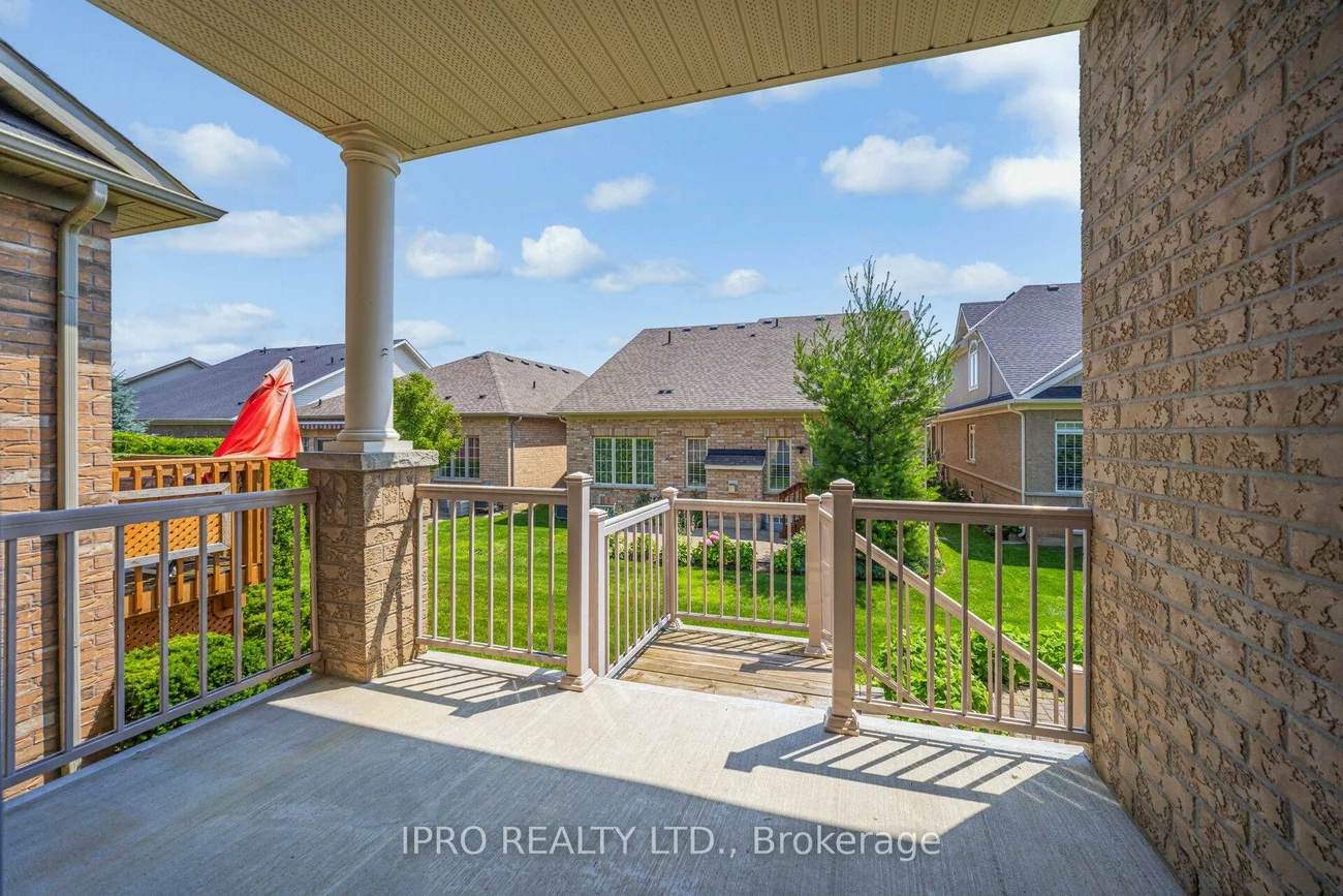 27, jazzberry, Sandringham-Wellington, Brampton