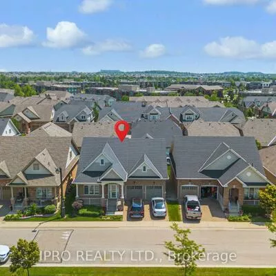 27, jazzberry, Sandringham-Wellington, Brampton