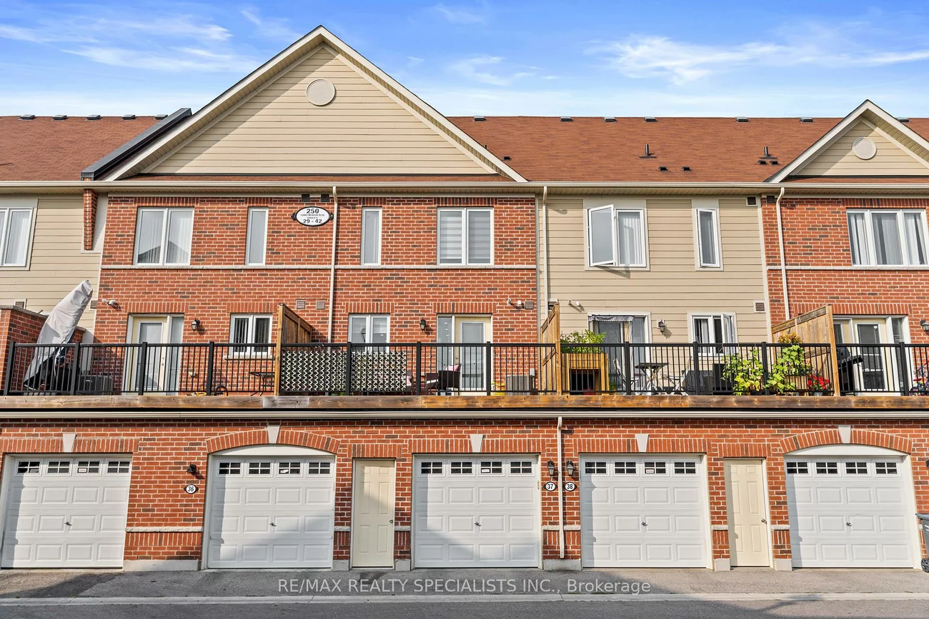 250, Sunny Meadow, Sandringham-Wellington, Brampton
