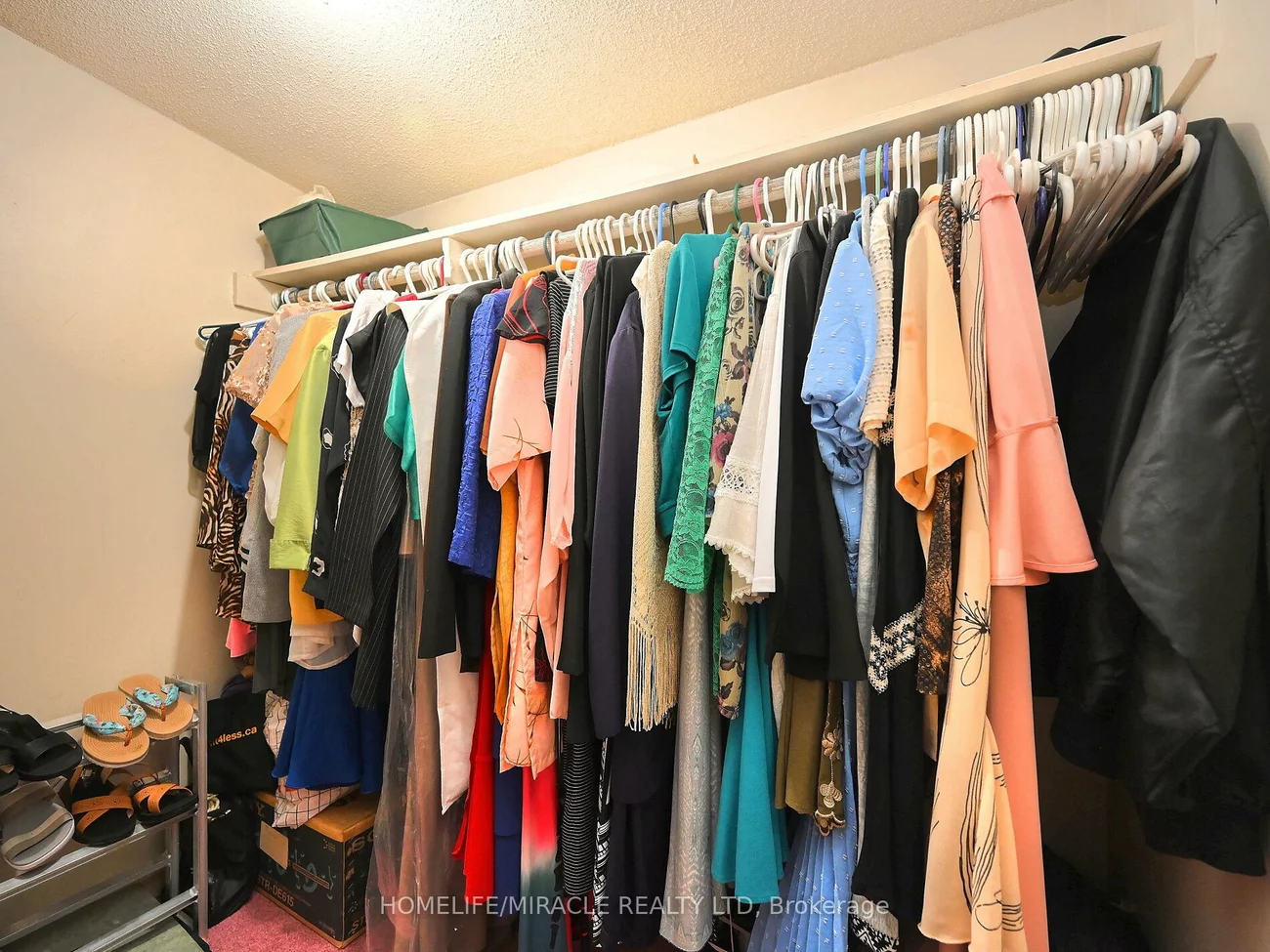 120, Collins, Brampton North, Brampton