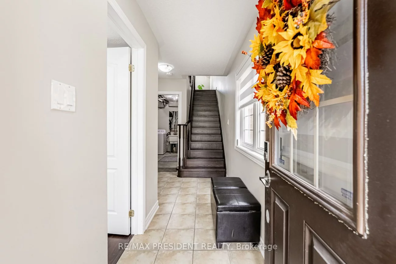 10, Shiraz, Sandringham-Wellington, Brampton