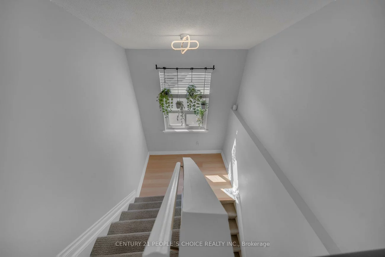 51, Mcmullen, Central Park, Brampton