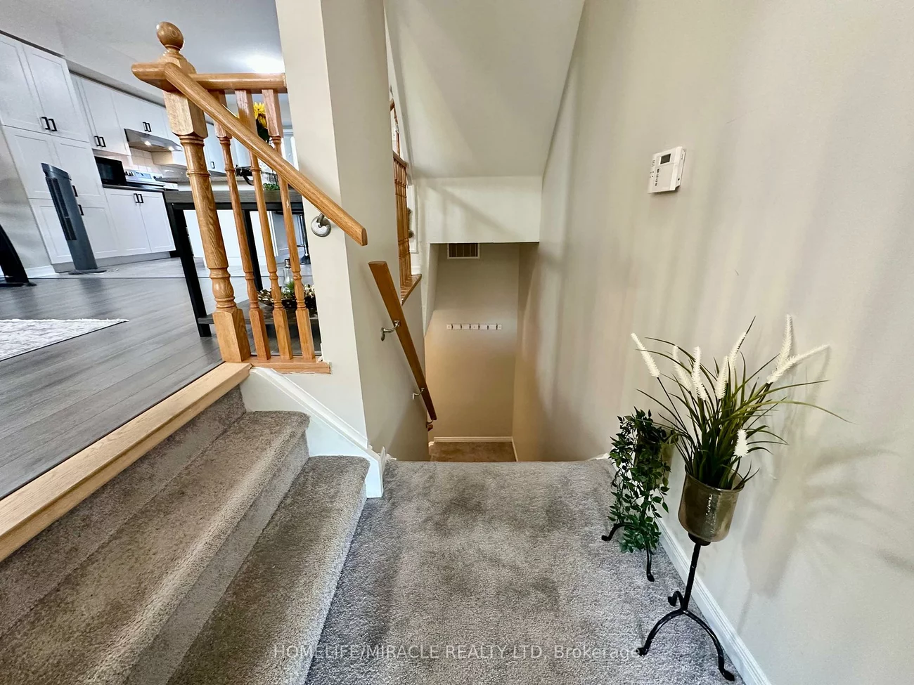 60, Fairwood, Sandringham-Wellington, Brampton