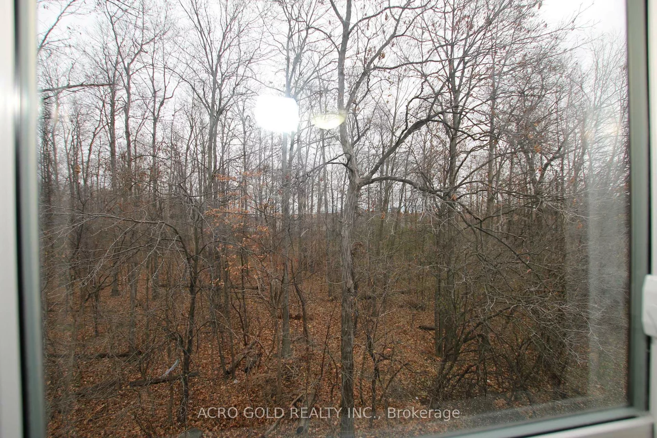 7, Mcmullen, Central Park, Brampton