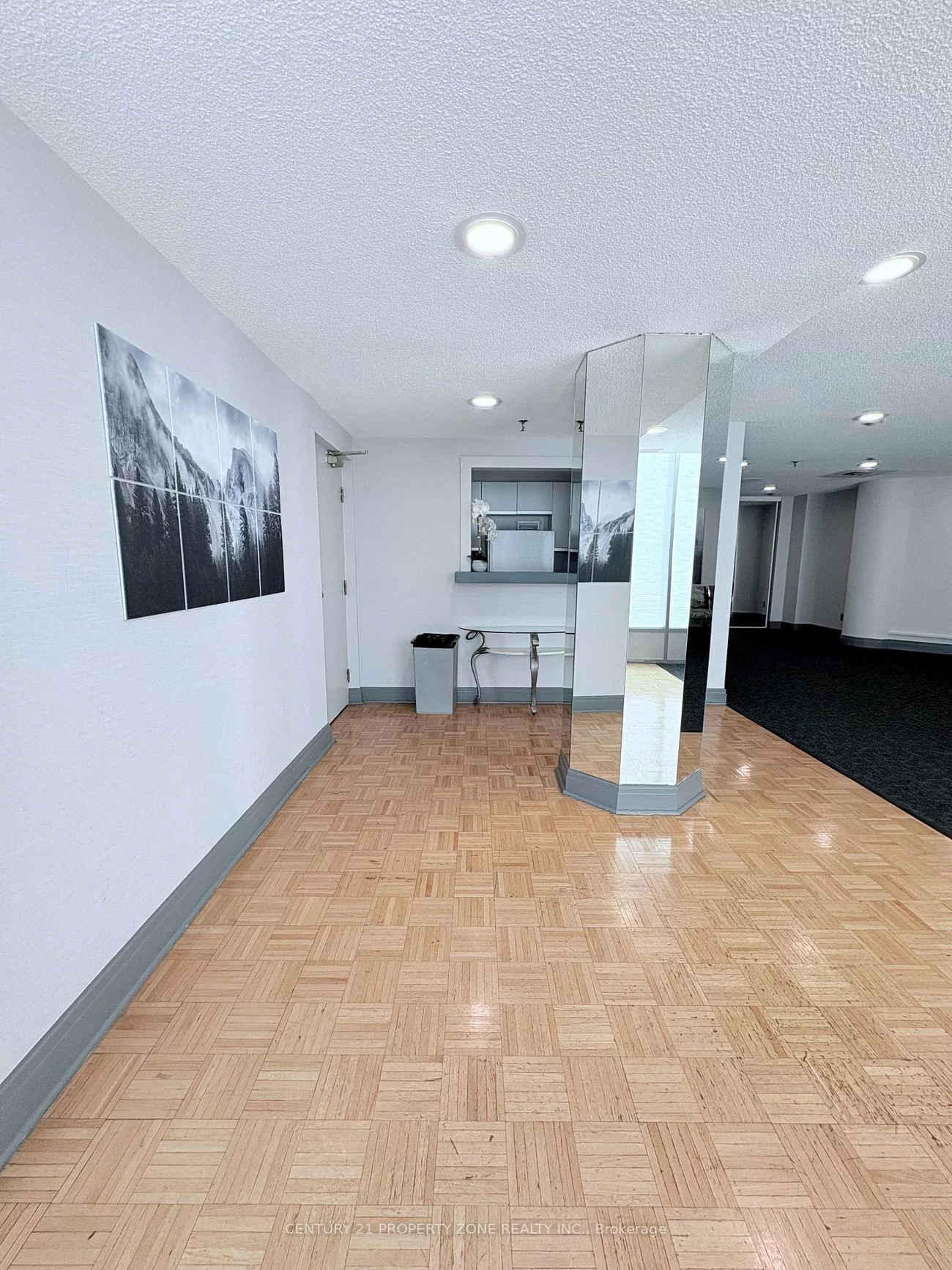 330, Mill, Brampton South, Brampton