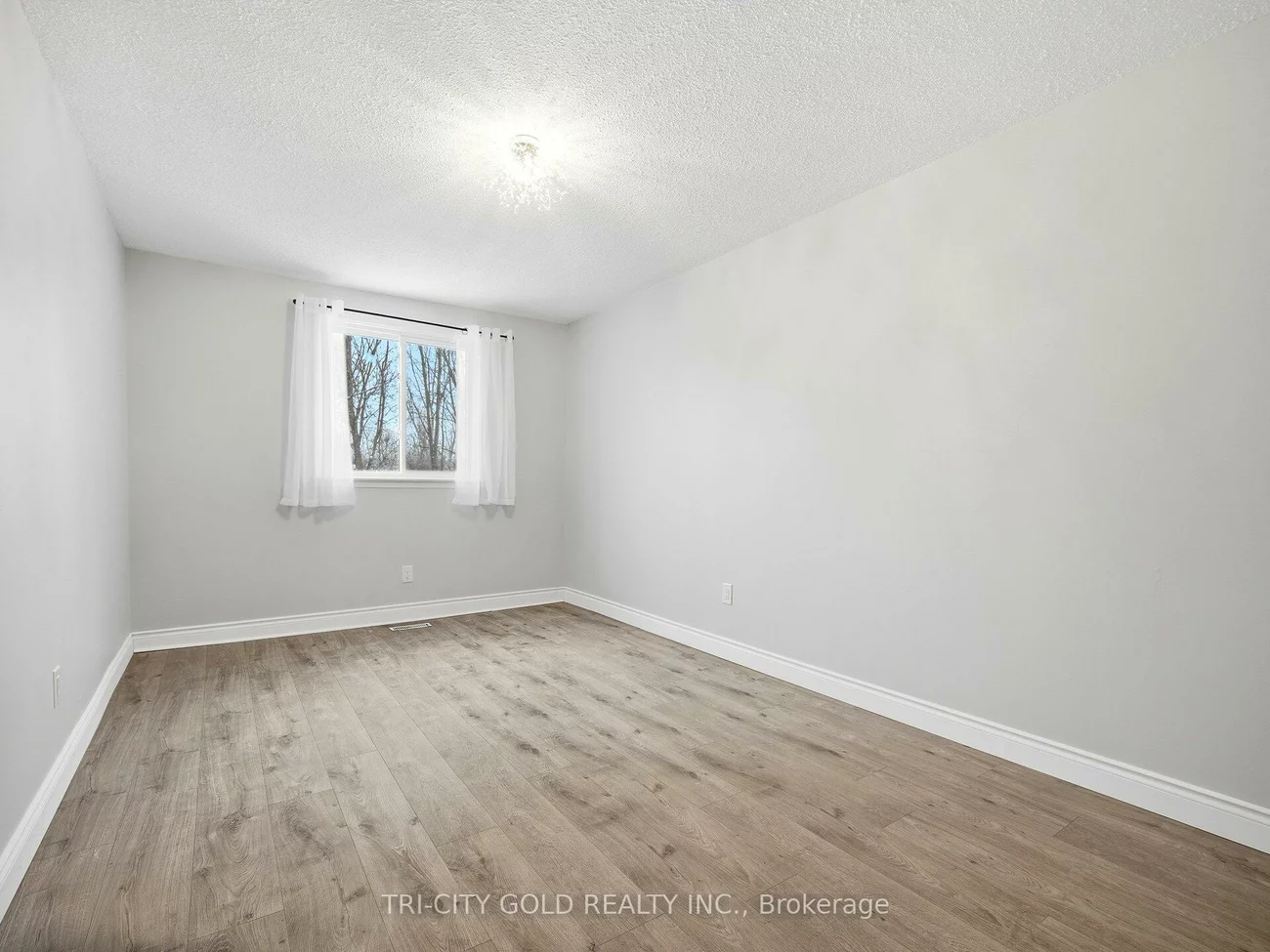20, Carisbrooke, Central Park, Brampton