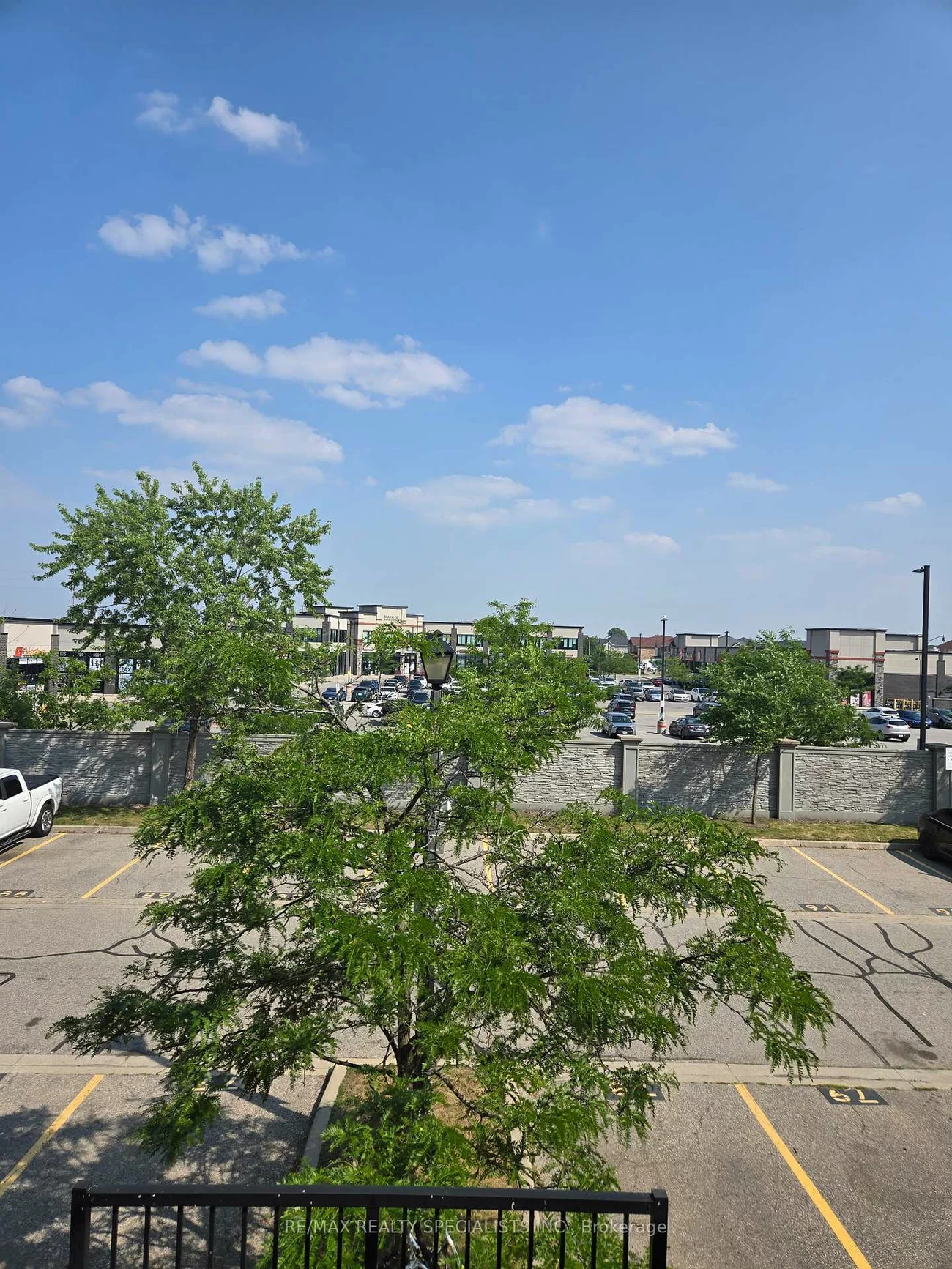 60, Fairwood, Sandringham-Wellington, Brampton