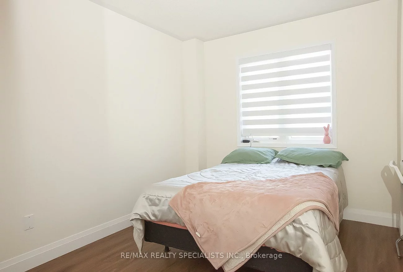 60, Fairwood, Sandringham-Wellington, Brampton