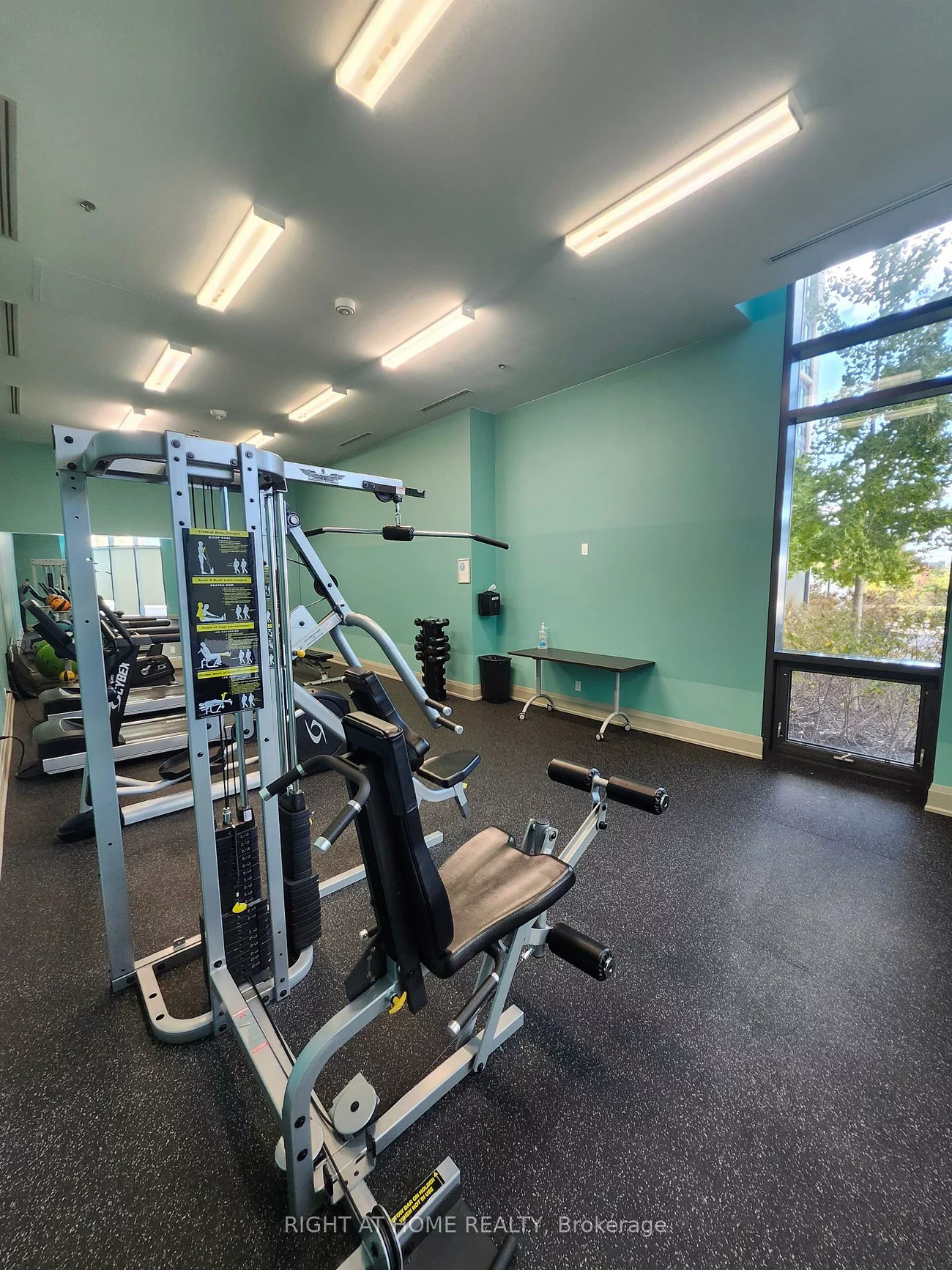 65, Yorkland, Goreway Drive Corridor, Brampton