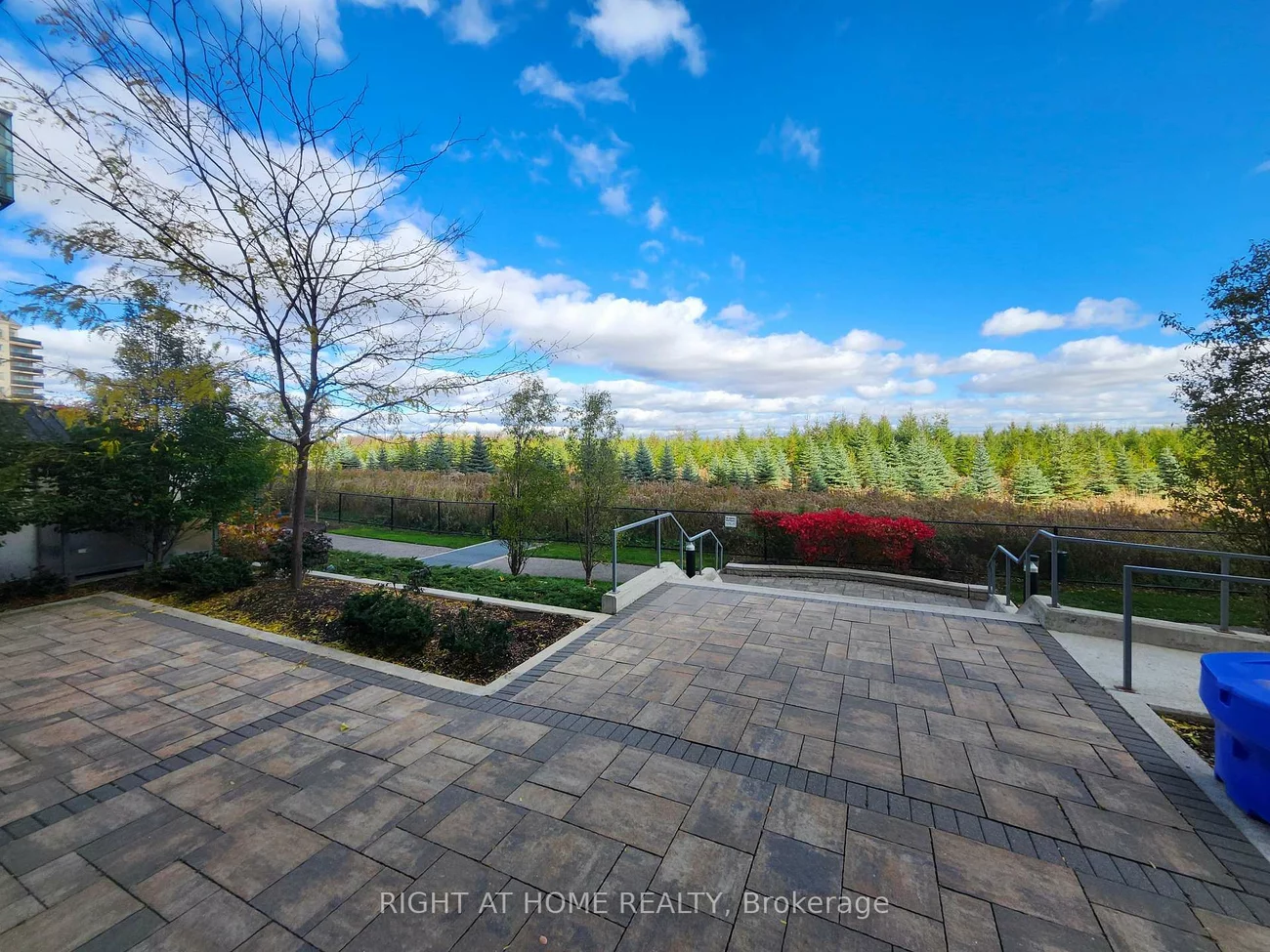 65, Yorkland, Goreway Drive Corridor, Brampton