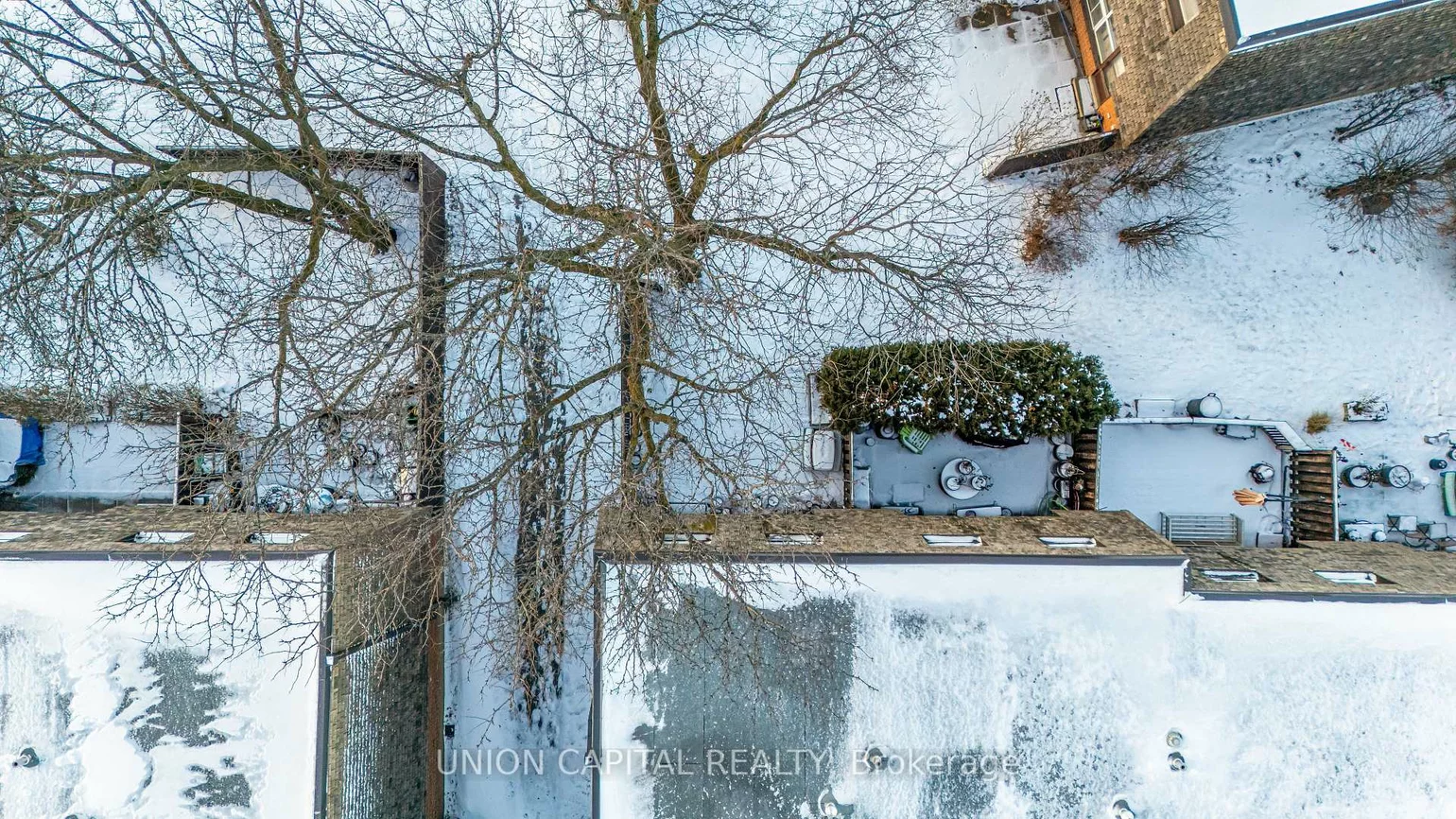 9, Briar, Avondale, Brampton