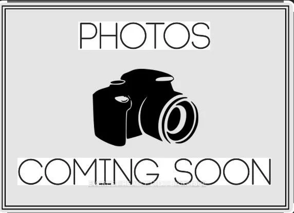 50, Halliford, Goreway Drive Corridor, Brampton