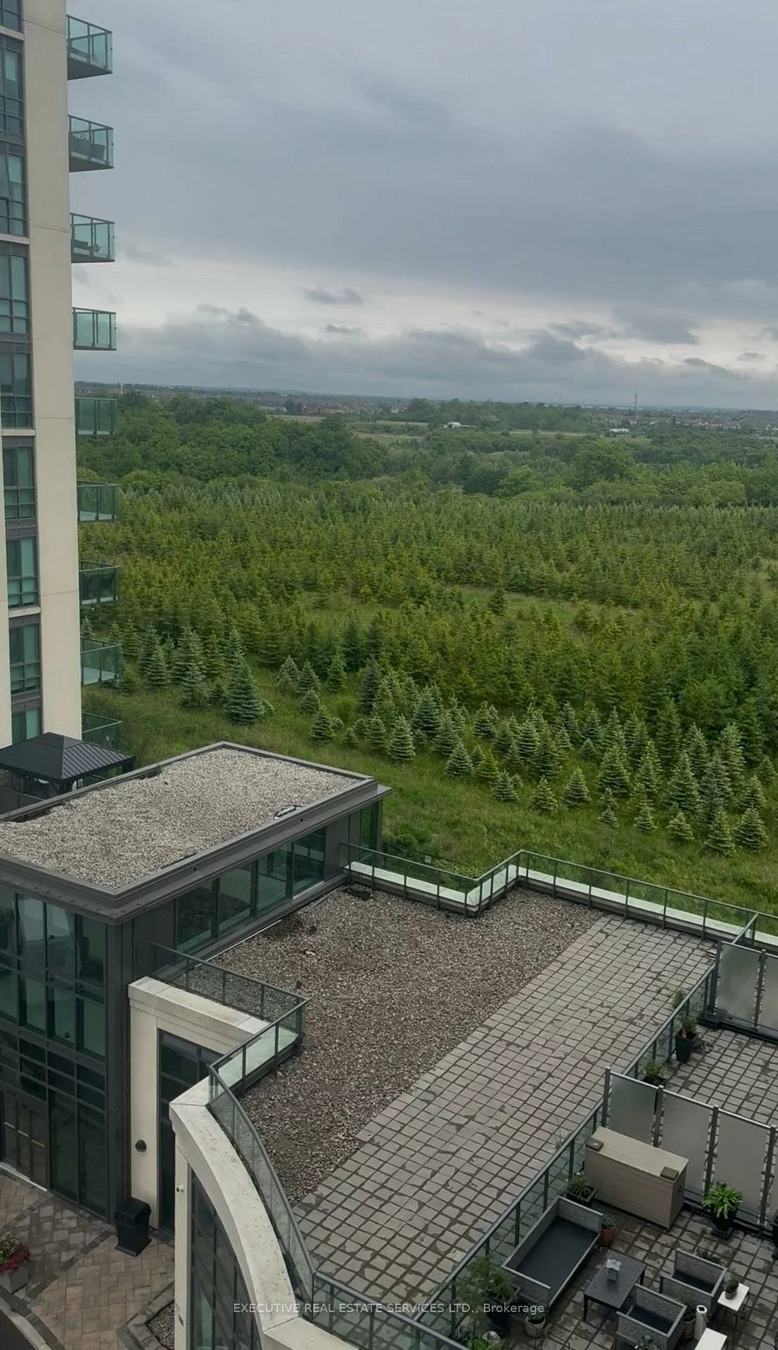 65, Yorkland, Goreway Drive Corridor, Brampton