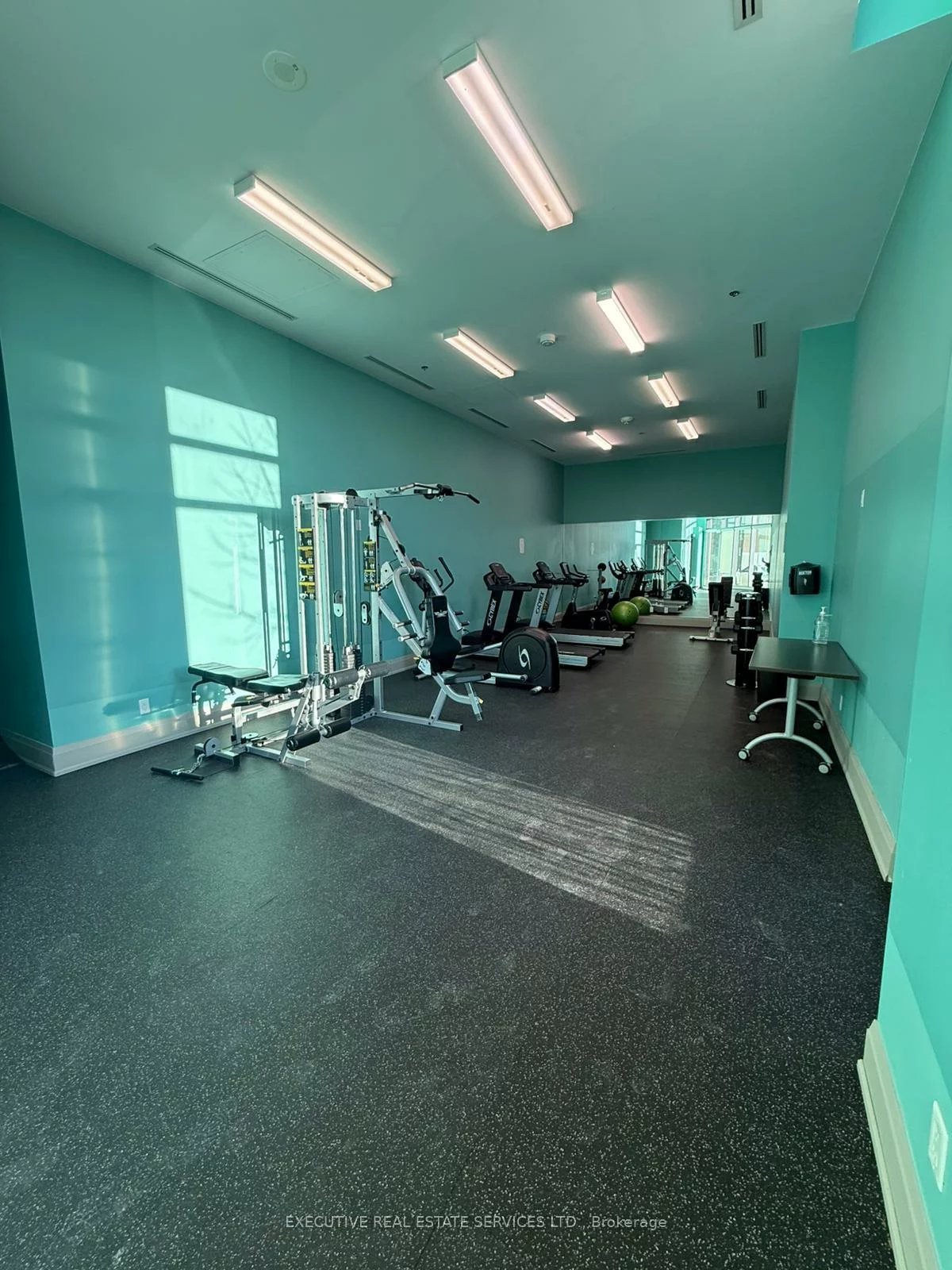 65, Yorkland, Goreway Drive Corridor, Brampton