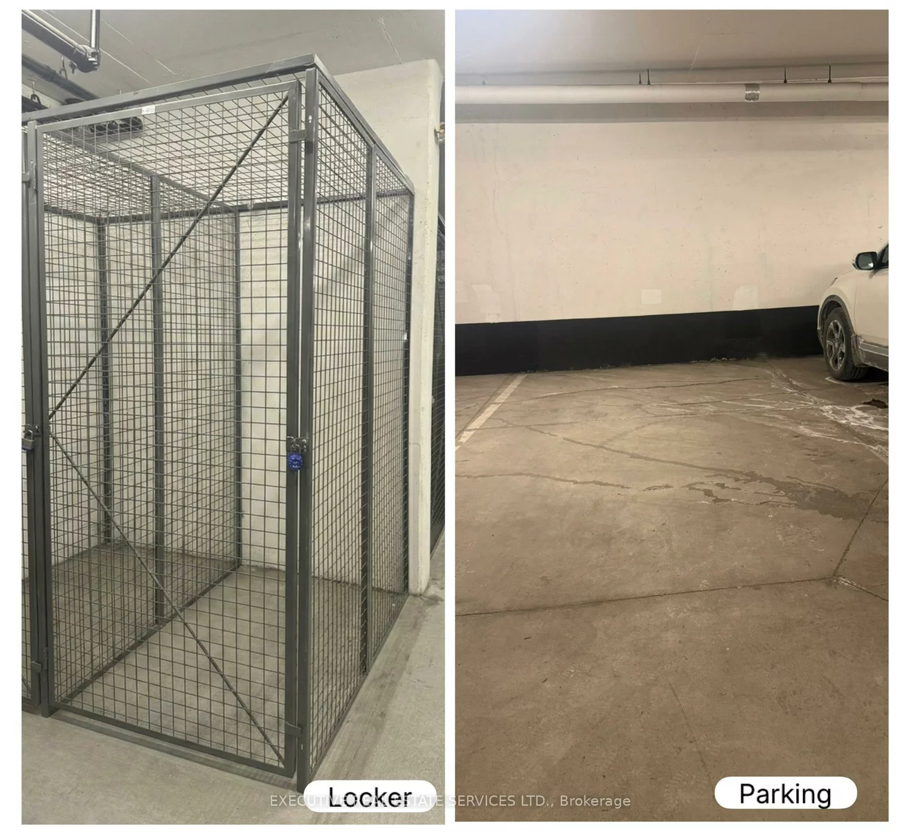 65, Yorkland, Goreway Drive Corridor, Brampton