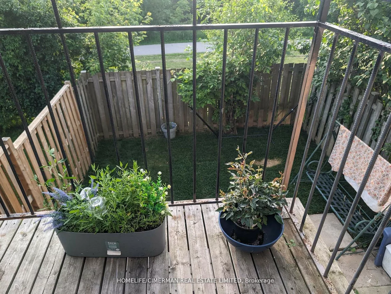 46, Foster, Brampton North, Brampton