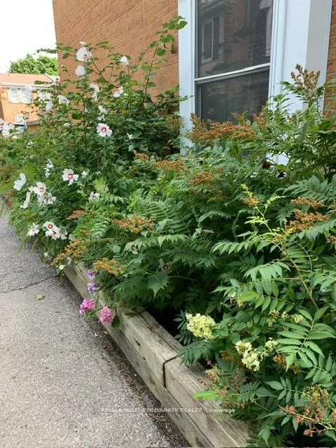 1020, CENTRAL PARK, Northgate, Brampton