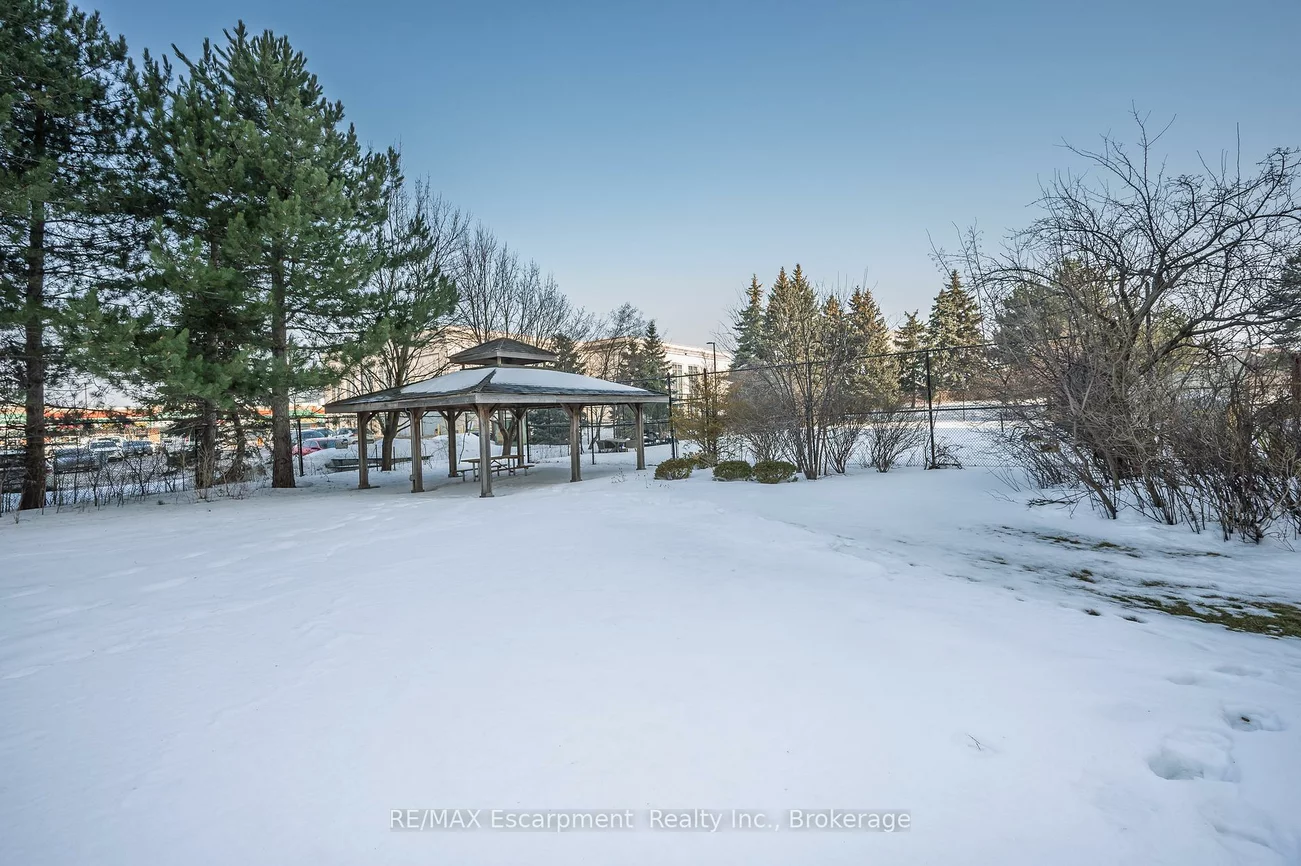 20, Cherrytree, Fletcher's Creek South, Brampton