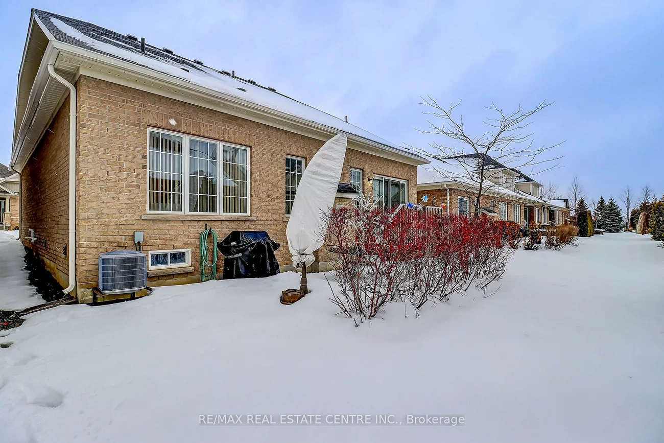 9, Jazzberry, Sandringham-Wellington, Brampton