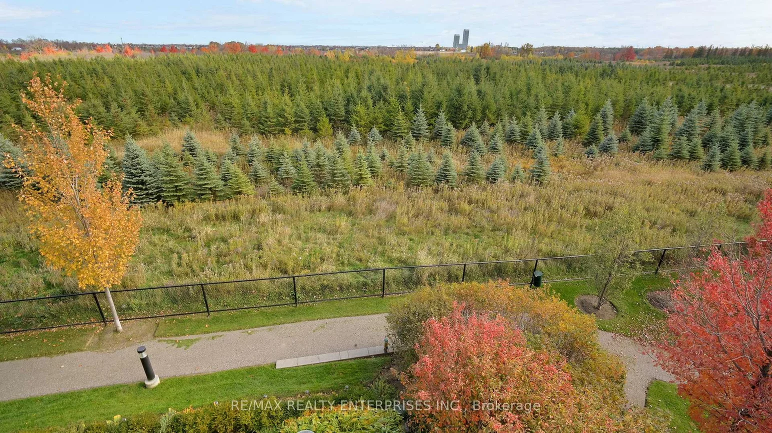 65, Yorkland, Goreway Drive Corridor, Brampton