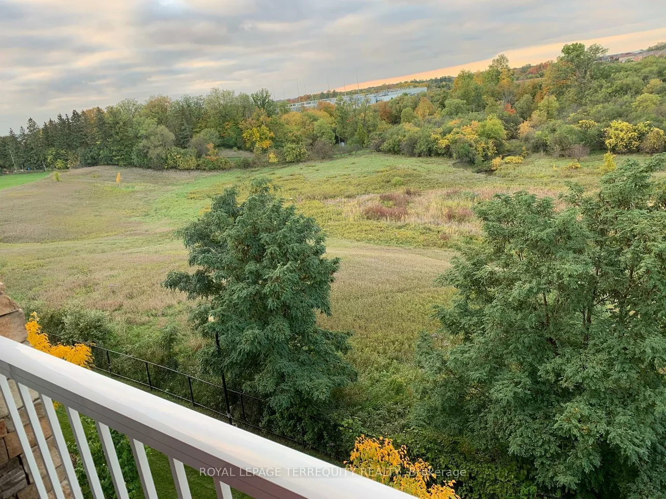 6, Dayspring, Goreway Drive Corridor, Brampton