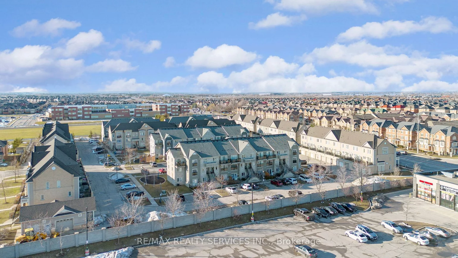 60, Fairwood, Sandringham-Wellington, Brampton