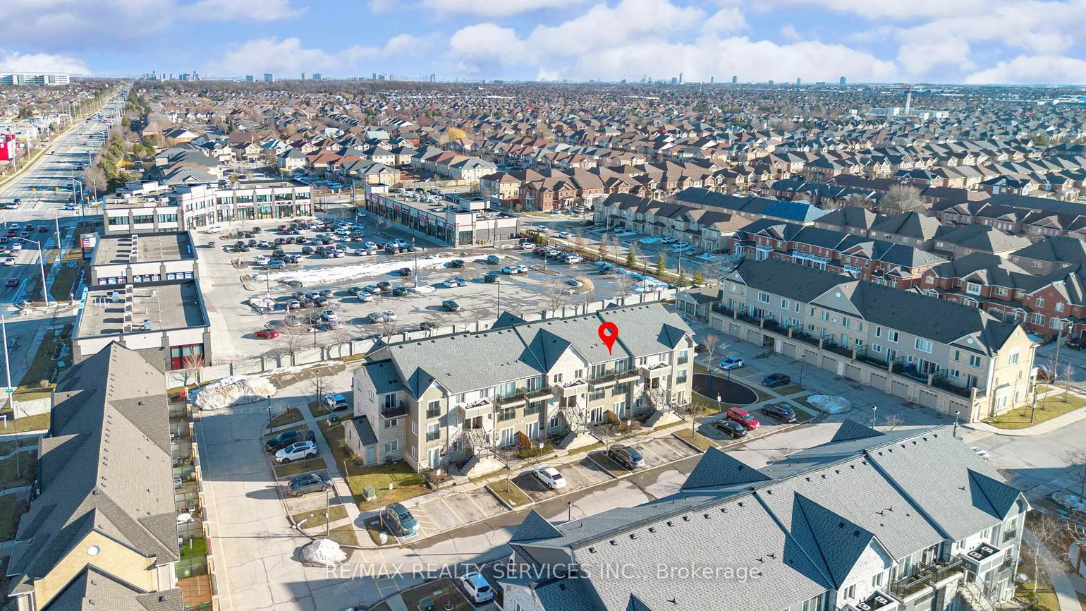 60, Fairwood, Sandringham-Wellington, Brampton