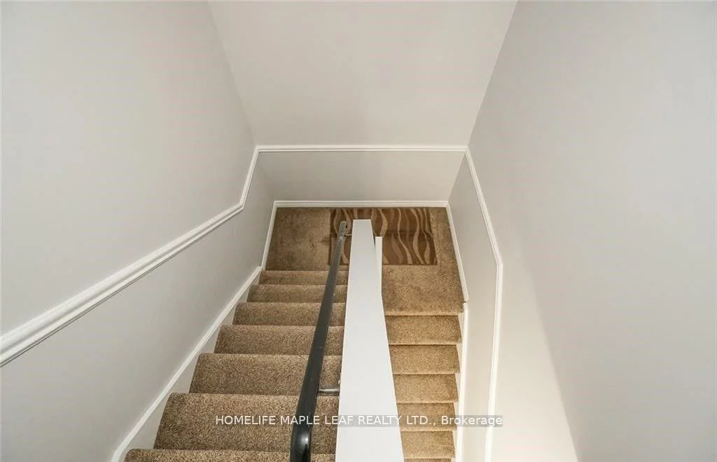 113, Ashton, Central Park, Brampton