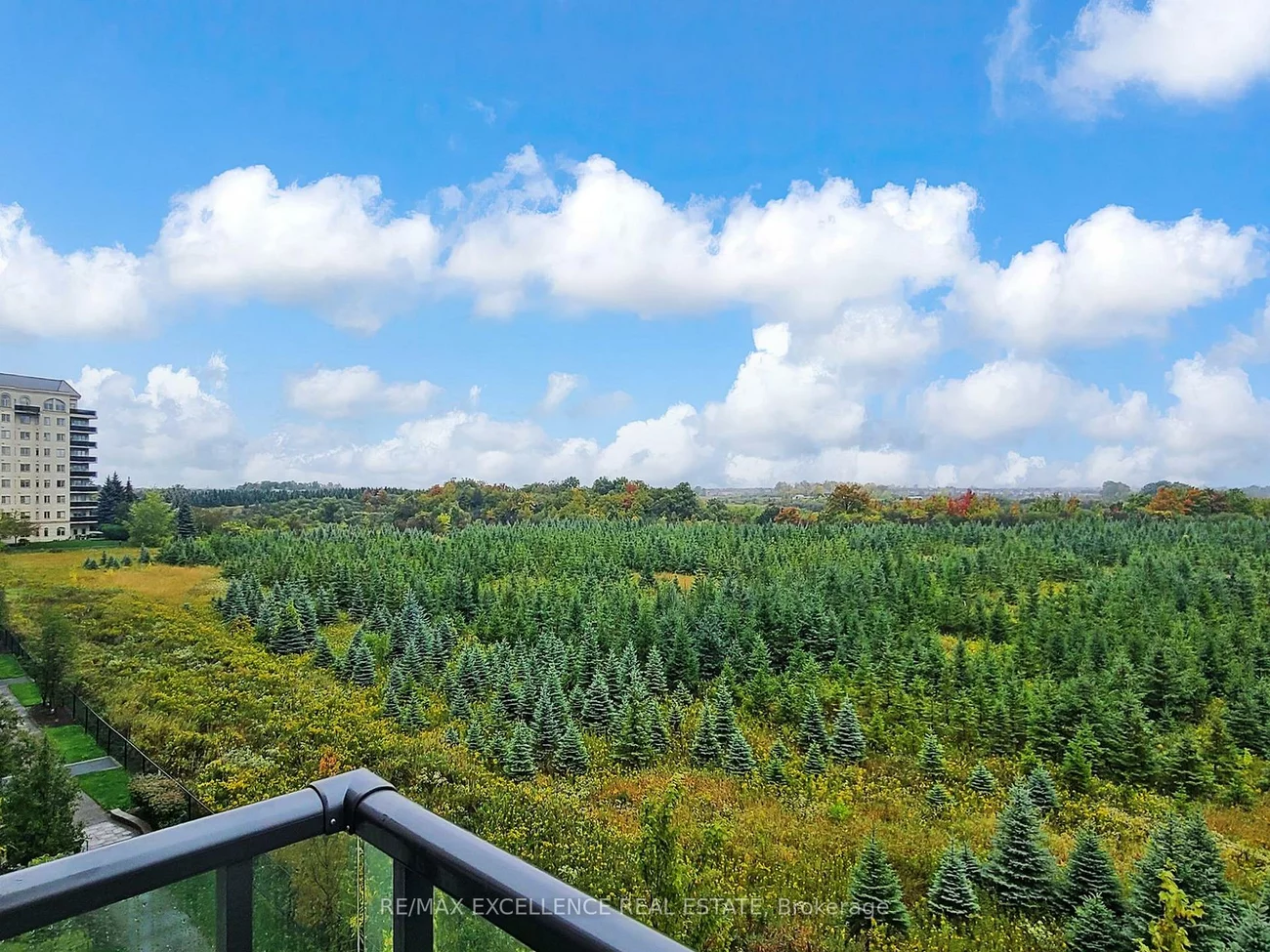 65, Yorkland, Goreway Drive Corridor, Brampton