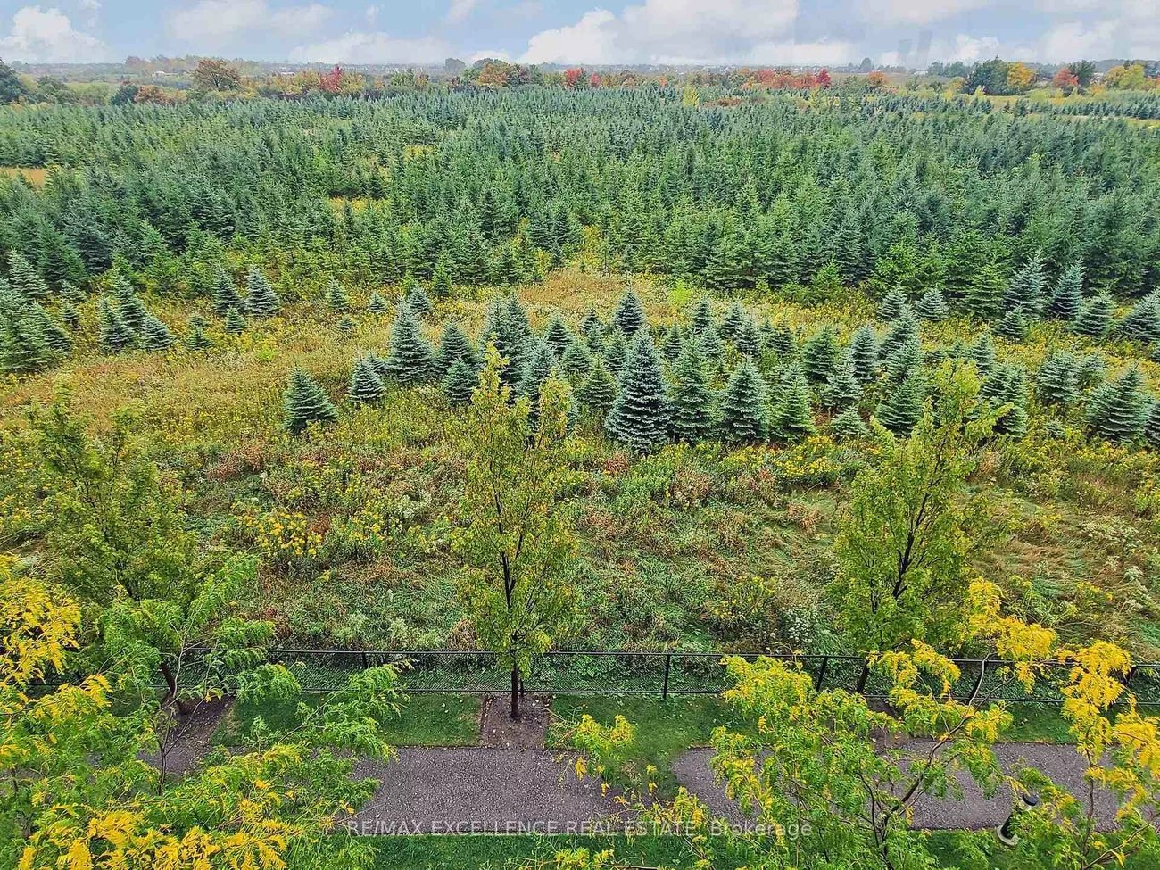 65, Yorkland, Goreway Drive Corridor, Brampton