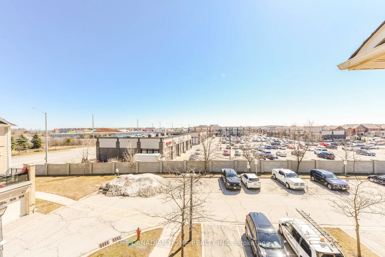 60, Fairwood, Sandringham-Wellington, Brampton