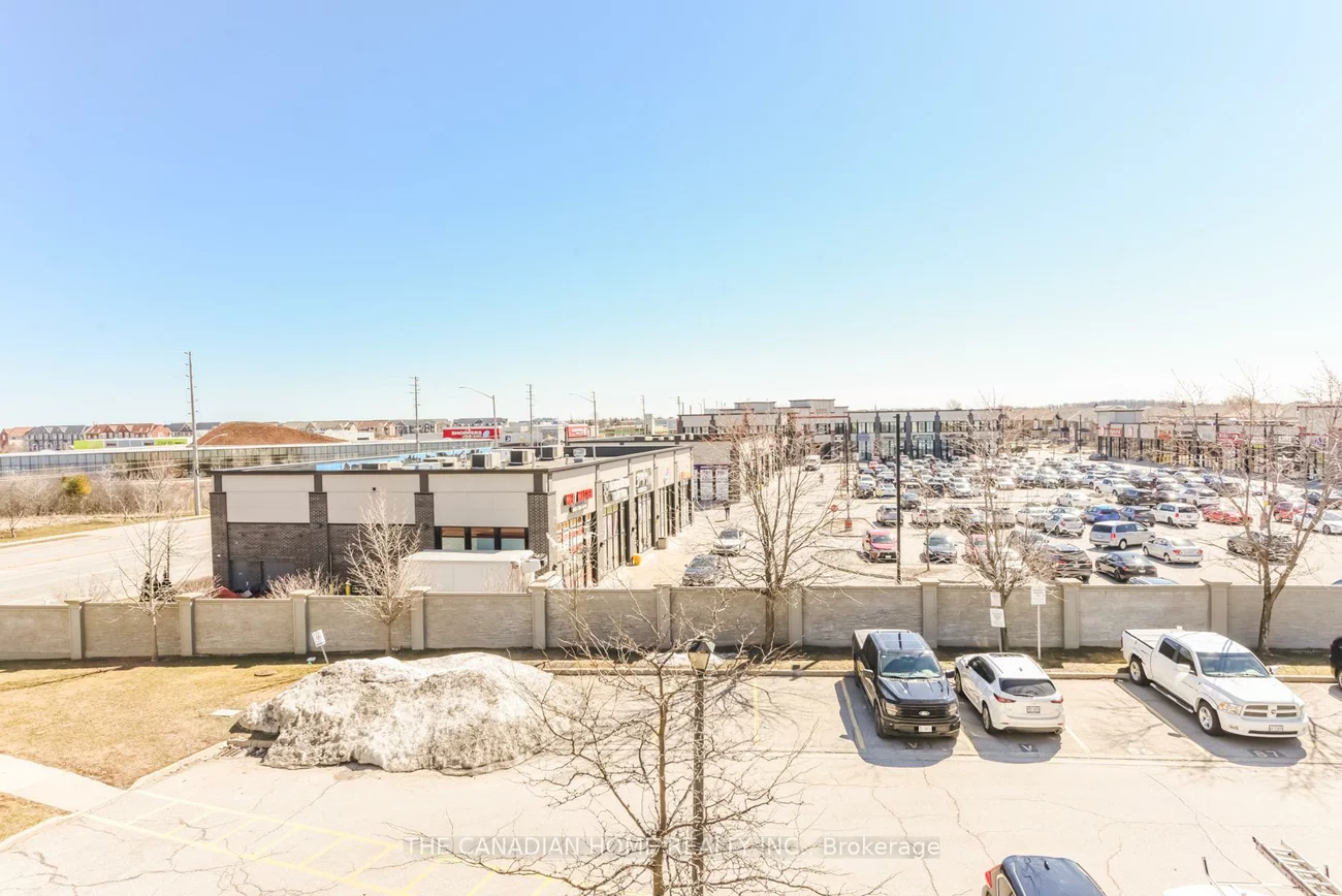 60, Fairwood, Sandringham-Wellington, Brampton