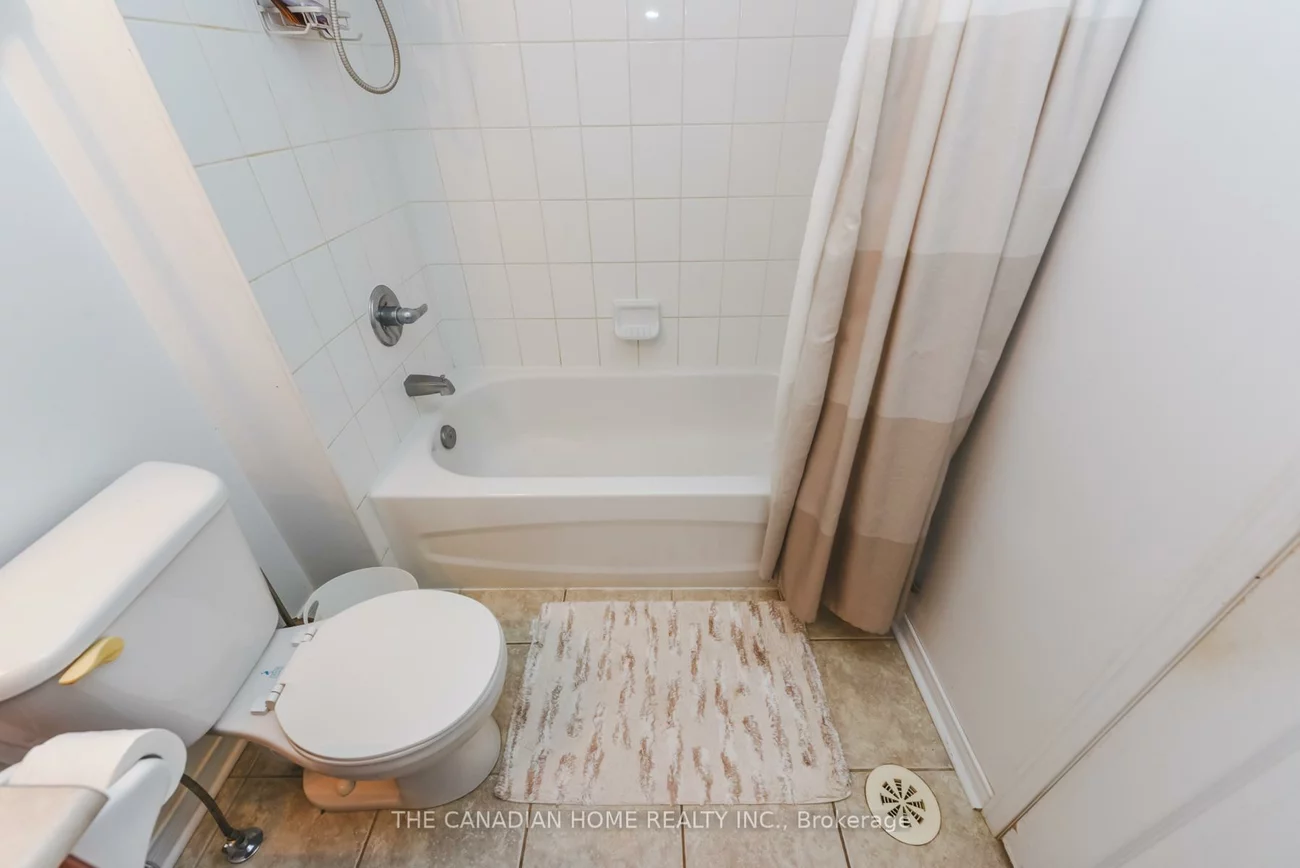 60, Fairwood, Sandringham-Wellington, Brampton