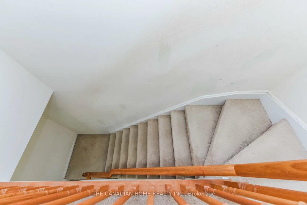 60, Fairwood, Sandringham-Wellington, Brampton