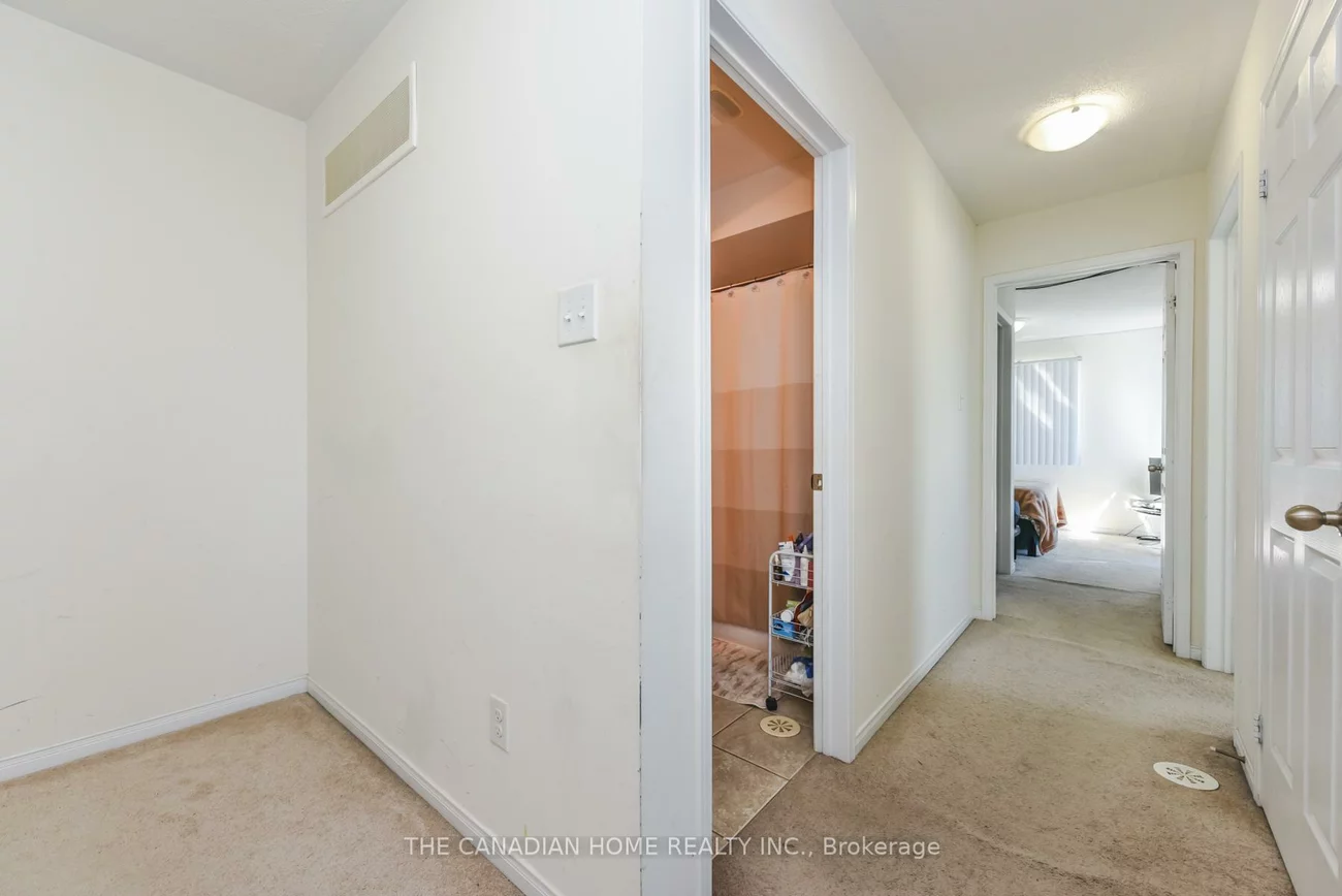 60, Fairwood, Sandringham-Wellington, Brampton