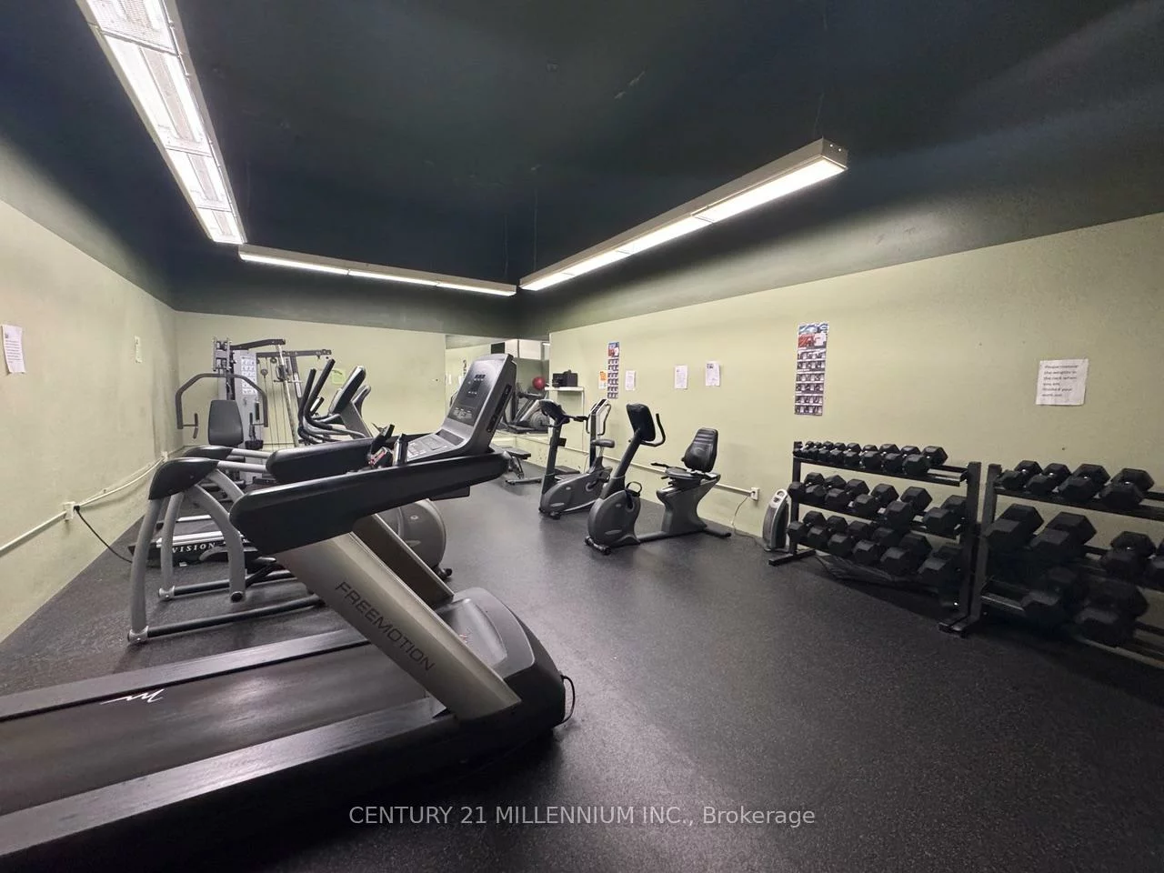 5, Lisa, Queen Street Corridor, Brampton