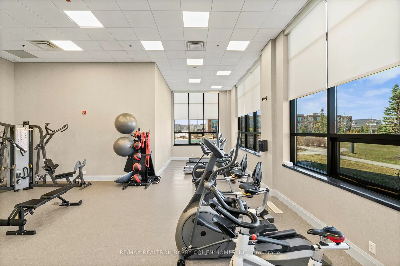 6, Amarillo, Sandringham-Wellington, Brampton