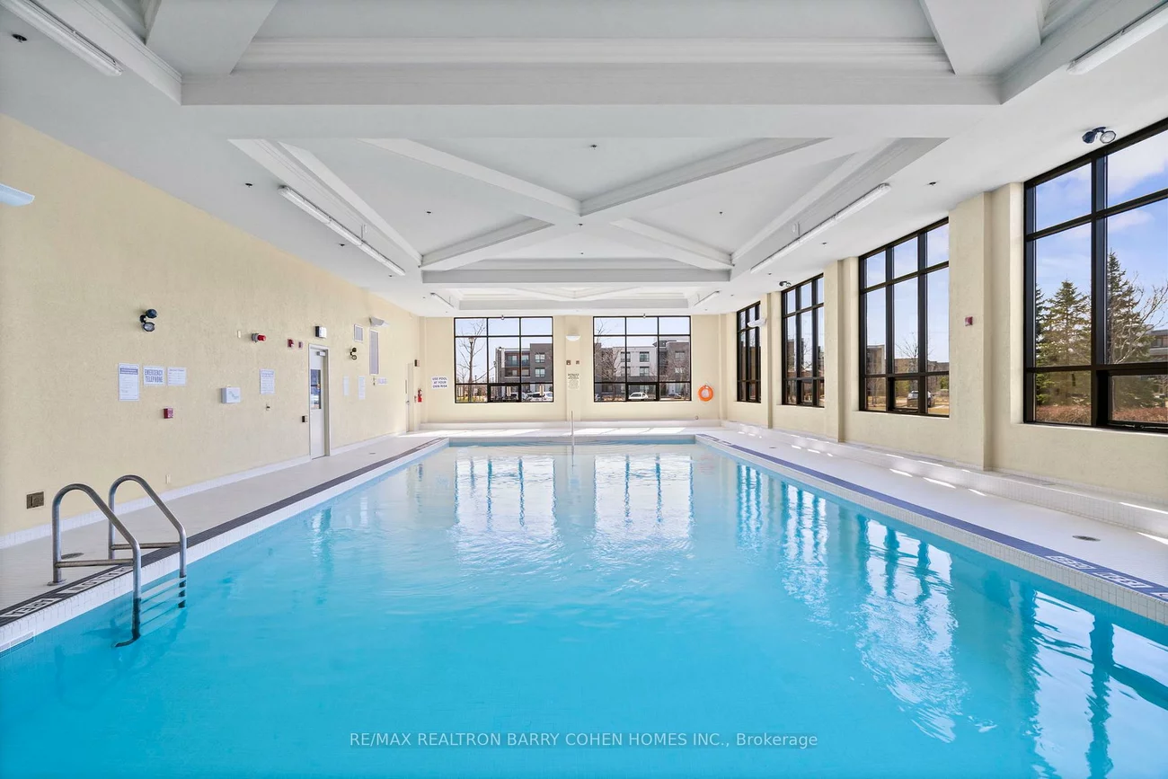 6, Amarillo, Sandringham-Wellington, Brampton